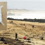 People Flock to Beaches After 2 Tons of Cocaine Washes Ashore