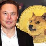 Elon Musk Changes Twitter Logo to Shiba Inu Causing Dogecoin to Jump 30 Percent