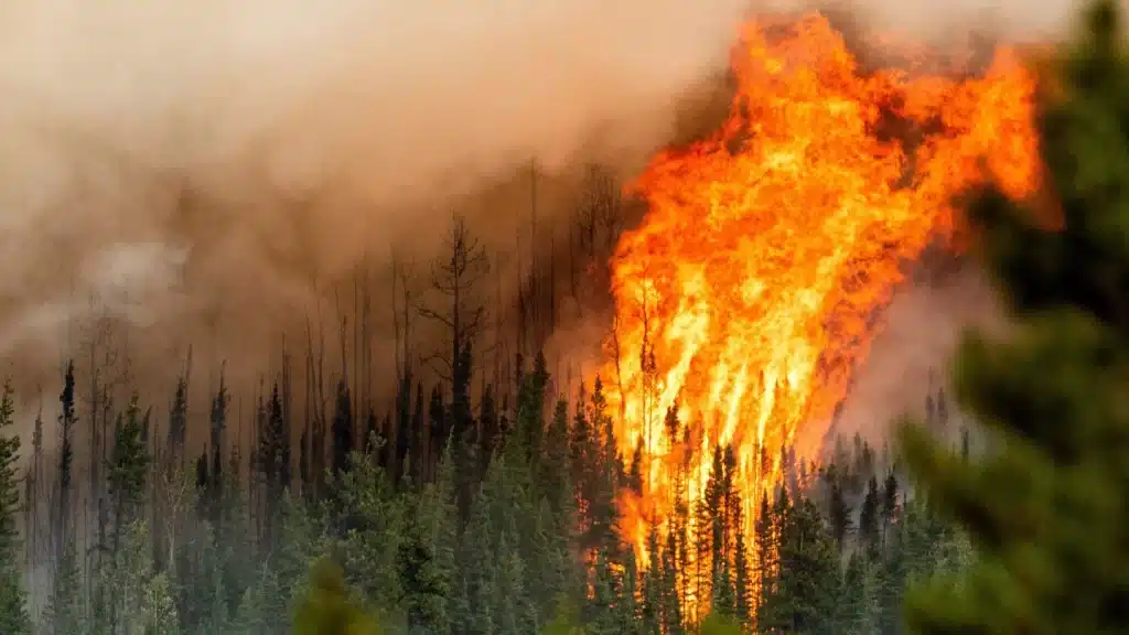 Wildfire in Fort Nelson BC