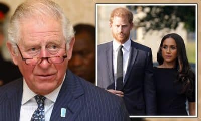 Meghan Markle and Harry May Be Stripped of Their Royal Titles