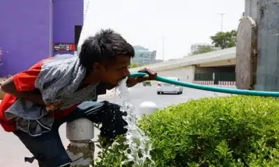Heatwave in Delhi Claims 200 Homeless Lives in One Week