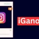 IgAnony Best Instagram Story Viewer Anonymously