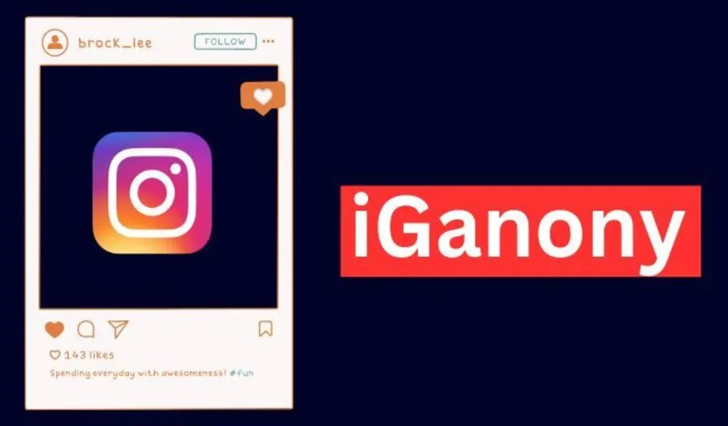 IgAnony Best Instagram Story Viewer Anonymously