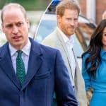 Prince William Warned Harry About Meghan Markle