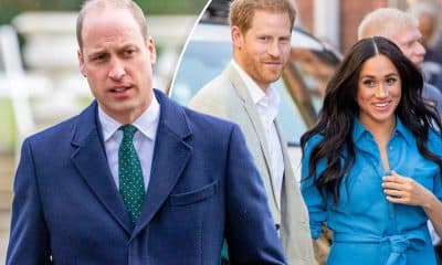 Prince William Warned Harry About Meghan Markle