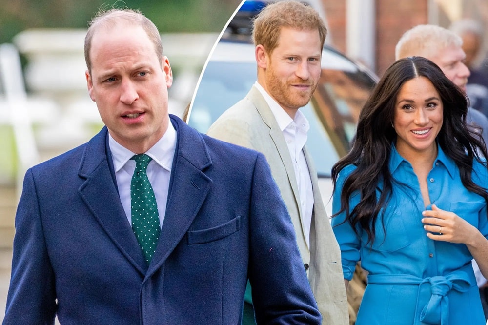 Prince William Warned Harry About Meghan Markle