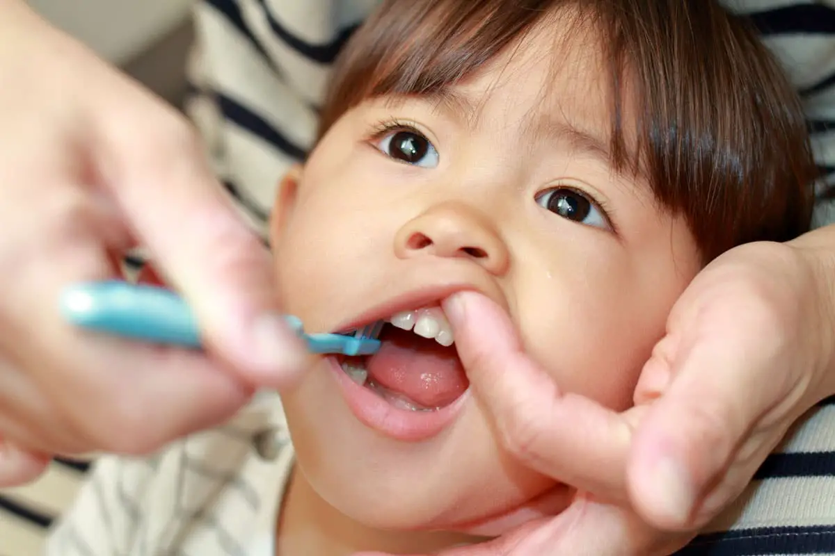 Toothbrush for Baby