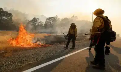 Largest Wildfire in U.S. Swells Over 600 Square Miles California's Park Fire Update