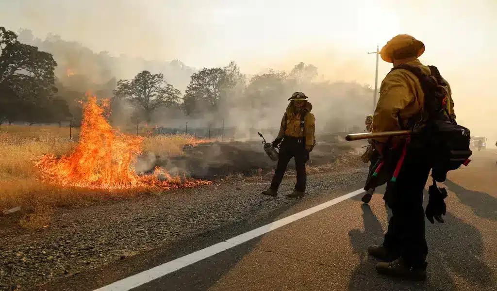 Largest Wildfire in U.S. Swells Over 600 Square Miles California's Park Fire Update