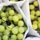 Ontario Woman Finds a Black Widow Spider in Grapes From Walmart