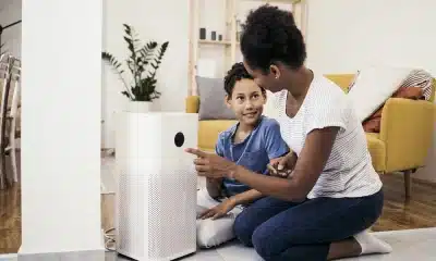 Allergies Got You Down? How Large Room Air Purifier Can Help