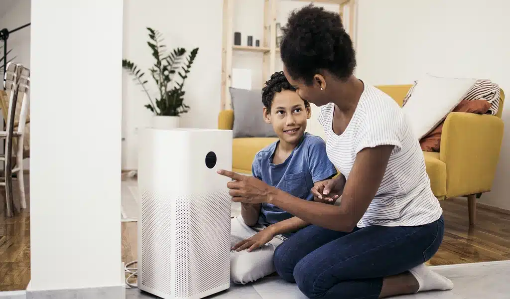 Allergies Got You Down? How Large Room Air Purifier Can Help