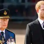 Prince Harry Clarifies Future Plans Amid Reports of Reconciliation with King Charles