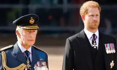 Prince Harry Clarifies Future Plans Amid Reports of Reconciliation with King Charles