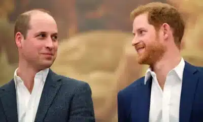 Prince Harry gets Good News during an Unexpected Visit from Prince William