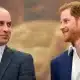 Prince Harry gets Good News during an Unexpected Visit from Prince William