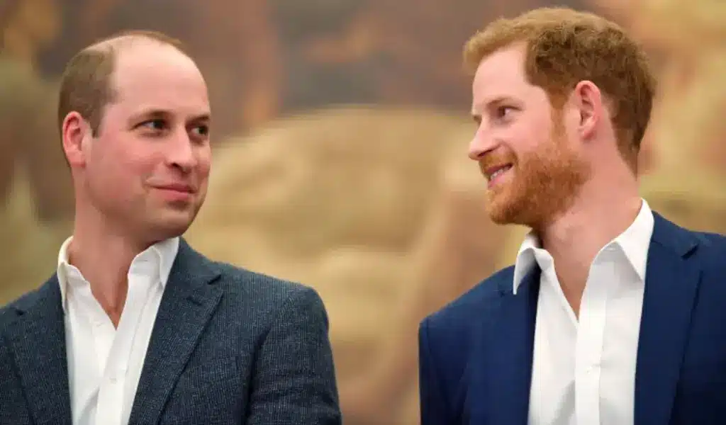 Prince Harry gets Good News during an Unexpected Visit from Prince William