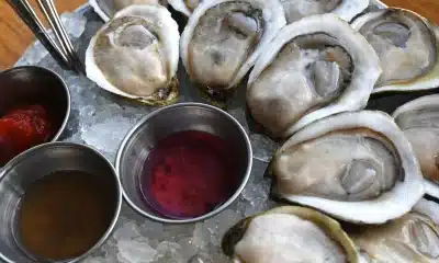 oysters