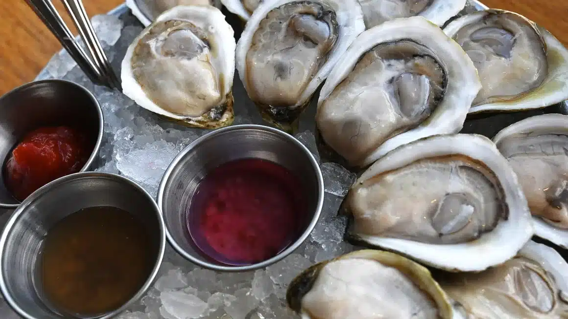 oysters