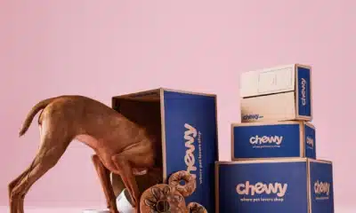 chewy