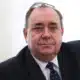 salmond