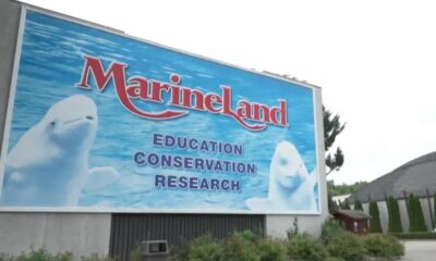 Marine Land, Beluga whale, Canada