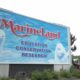 Marine Land, Beluga whale, Canada