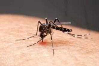 Dengue