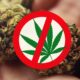 Japan List Cannabis as Narcotic