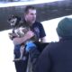 Man Rescuing a Dog From Freezing River