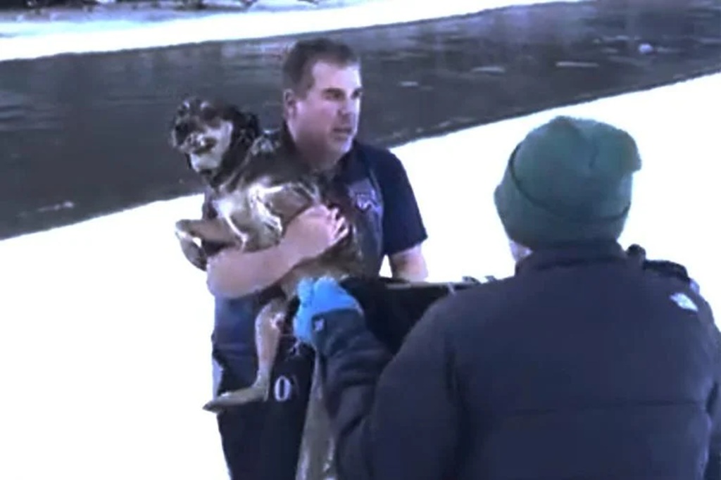 Man Rescuing a Dog From Freezing River