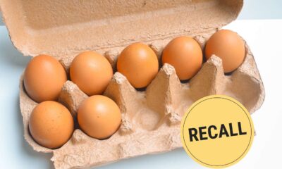 Salmonella Contamination Eggs Canada