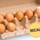 Salmonella Contamination Eggs Canada