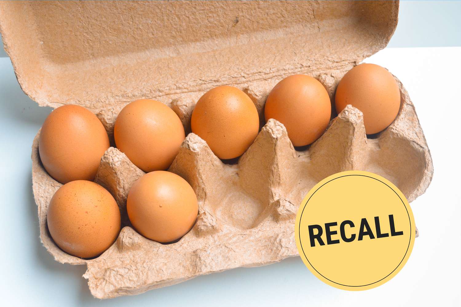 Salmonella Contamination Eggs Canada