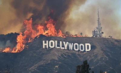 Hollywood Hills Fire