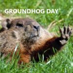 Groundhog Day