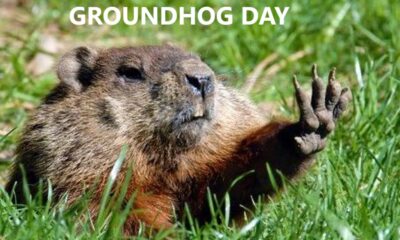 Groundhog Day