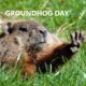 Groundhog Day