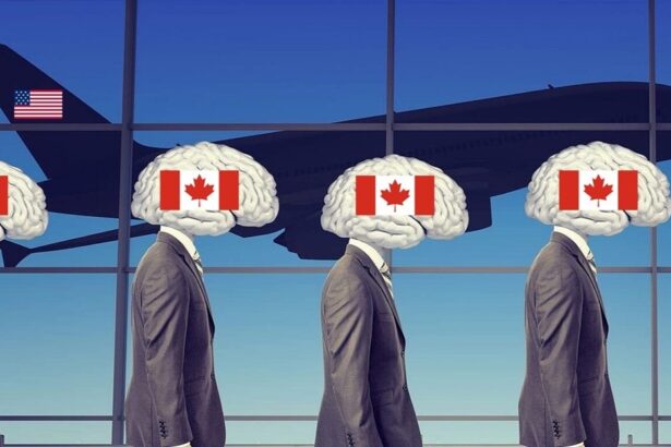 canada, brain drain, USA